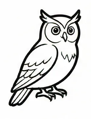 how to draw an owl 1.webp